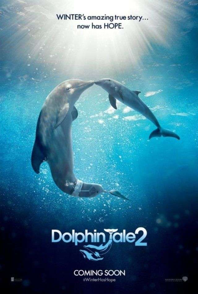مشاهدة فيلم Dolphin Tale 2 2014 مترجم مشاهدة فيلم Dolphin Tale 2 2014 مترجم