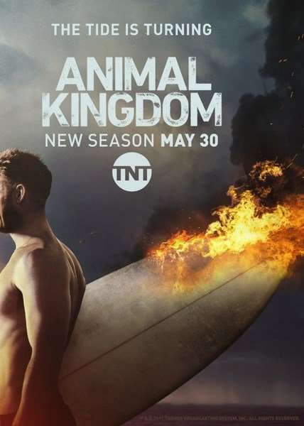 مسلسل Animal Kingdom الموسم الثاني الحلقة 4 مسلسل Animal Kingdom الموسم الثاني الحلقة 4