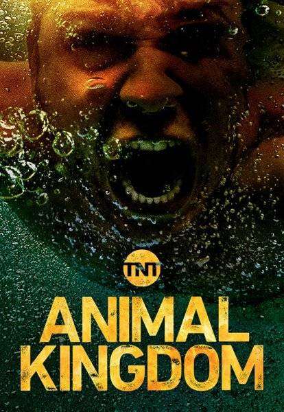مسلسل Animal Kingdom الموسم 3 الحلقة 13 والأخيرة مسلسل Animal Kingdom الموسم 3 الحلقة 13 والأخيرة