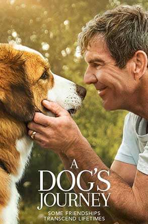 A Dog's Journey A Dog's Journey