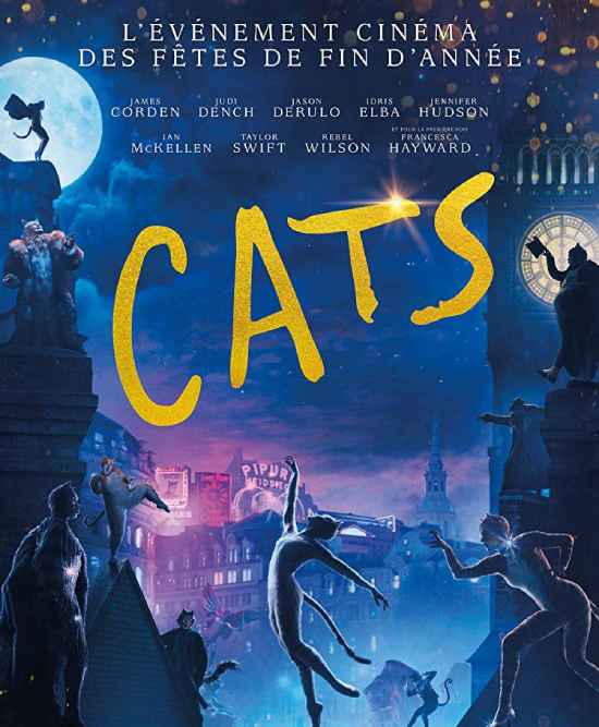 Cats Cats