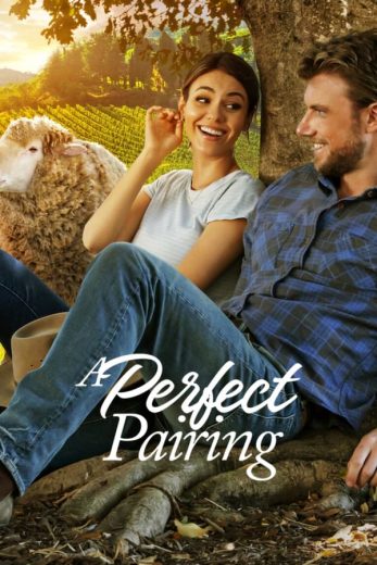 A Perfect Pairing A Perfect Pairing