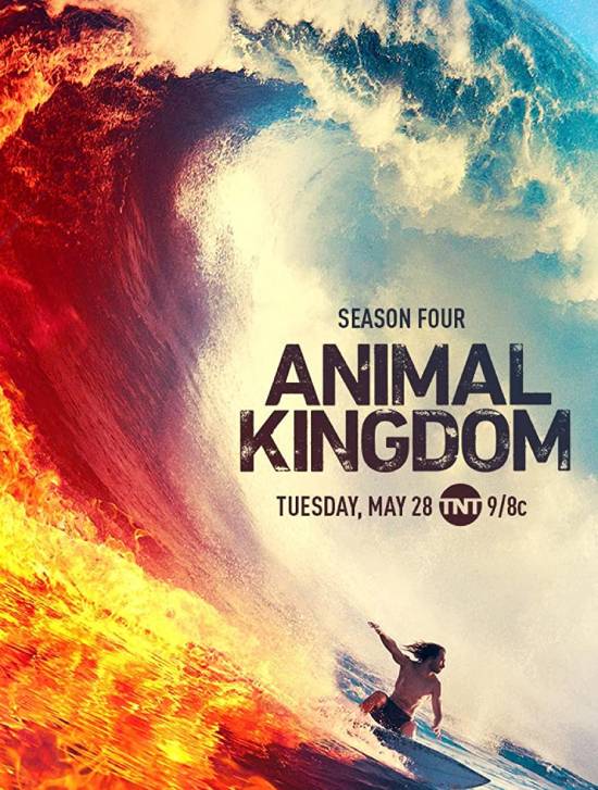 Animal Kingdom الموسم 6 الحلقة 8 Animal Kingdom الموسم 6 الحلقة 8
