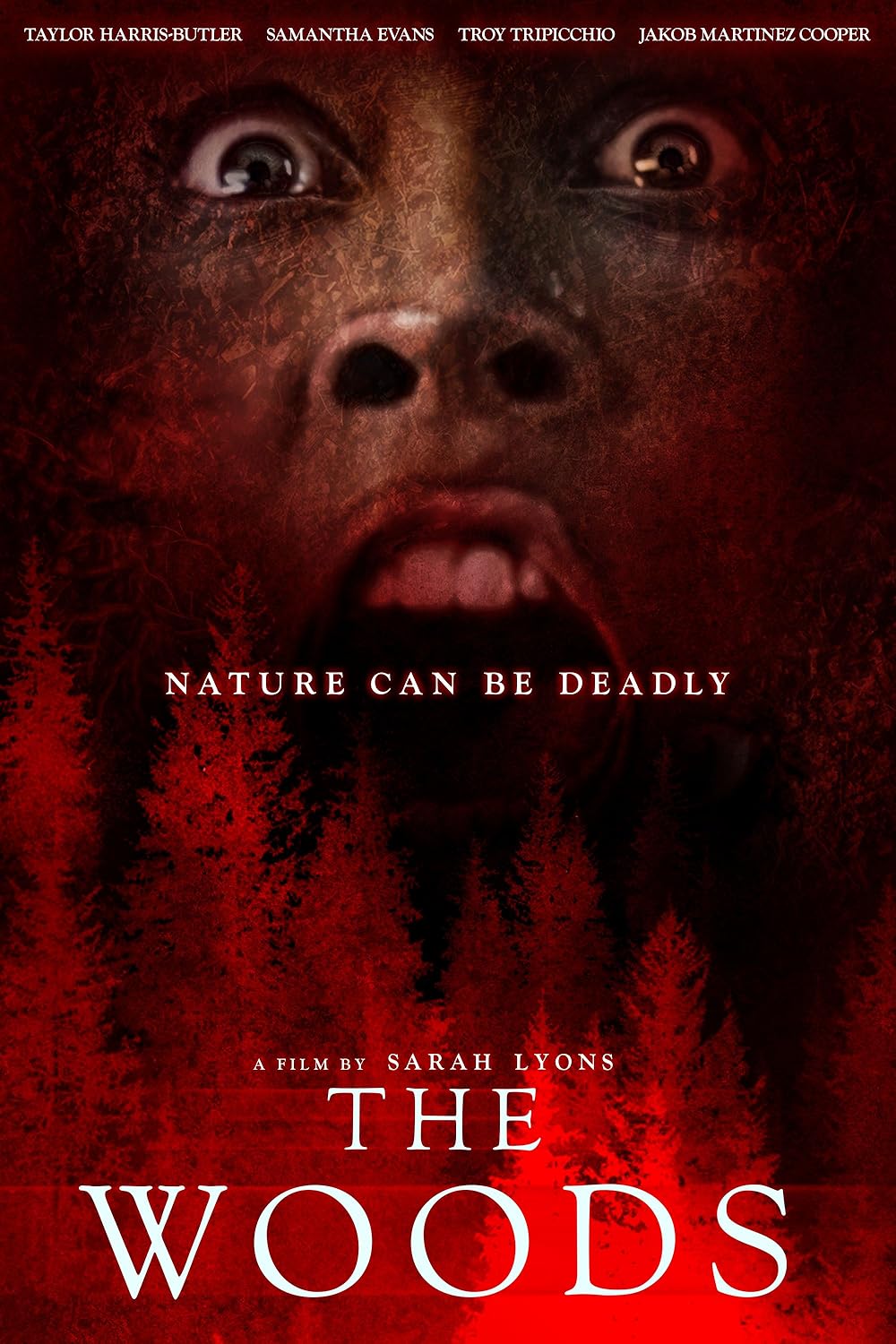 The Woods The Woods